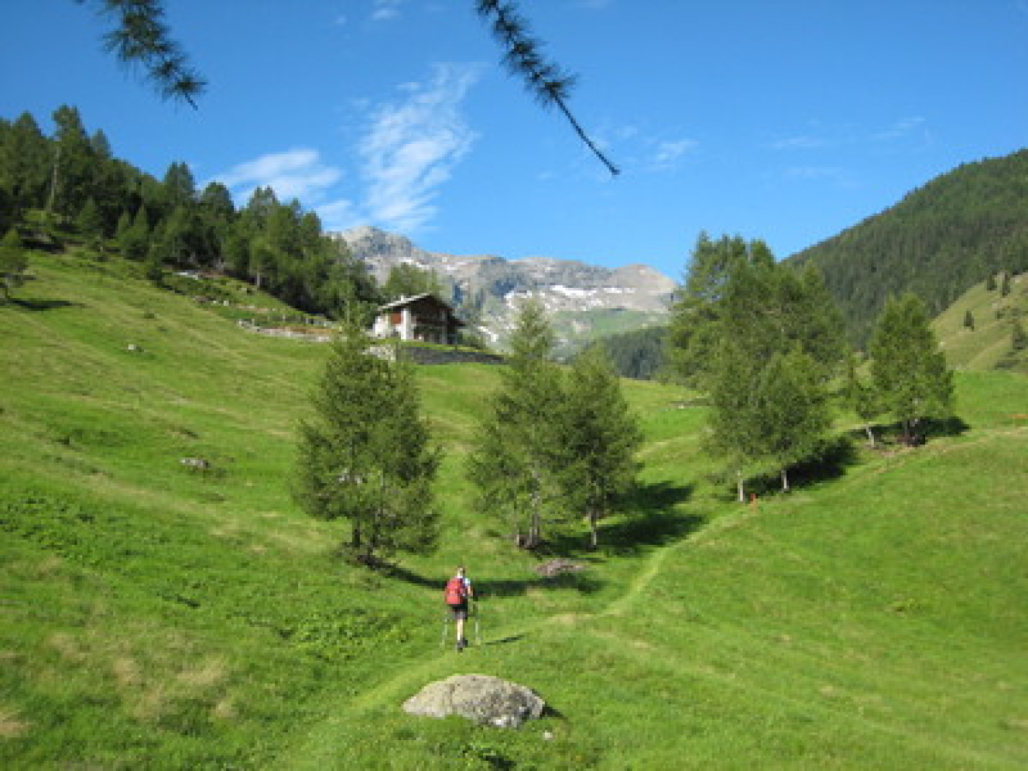 https:///www.valtellinaok.com/Foto/Escursioni/15/val febbraro.jpg